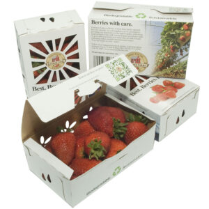 Custom branded packaging for a hydroponic strawberry grower.