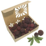 Yangmei fruit in Low Profile Pint