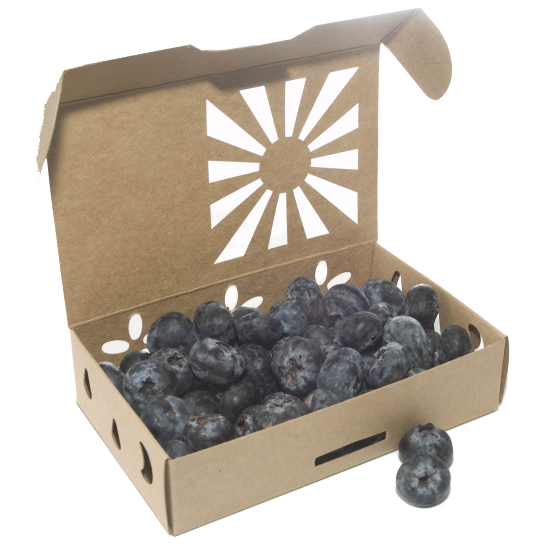 big-blueberries-pint