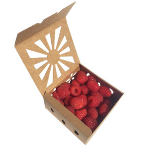 Half Pint Berry Container in Kraft material autobottom design with raspberries