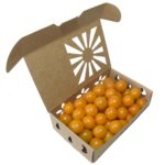 Low Profile Pint Kraftpak Produce Container