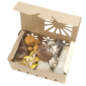 Sustainable Produce Packaging Kraft material holding mushrooms.