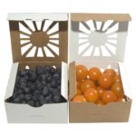 Square Pint fruit container with blueberries or cherry tomatoes