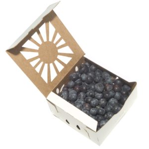square-pint-white-blueberries--open