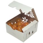sustainable alternative container for organic cherry tomatoes