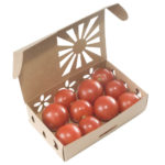 1 Pt Container with compari tomatoes.