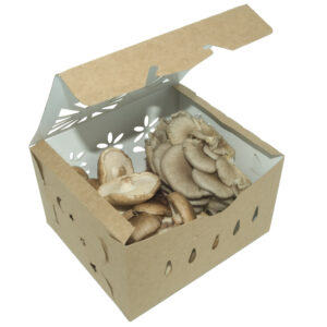 3 Qt container with high wet strength holding mushrooms.