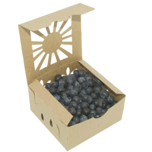 1 Square Pint KRAFT Sustainable Produce Container (600/case)