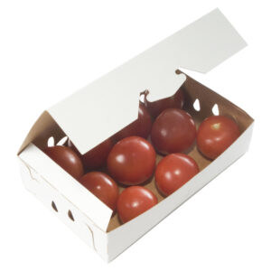 1 Low Profile Pint REVERSIBLE Sustainable Produce Container (600/case)