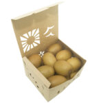 3 quart container with 16 kiwis