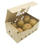 paper container with 6 kiwis