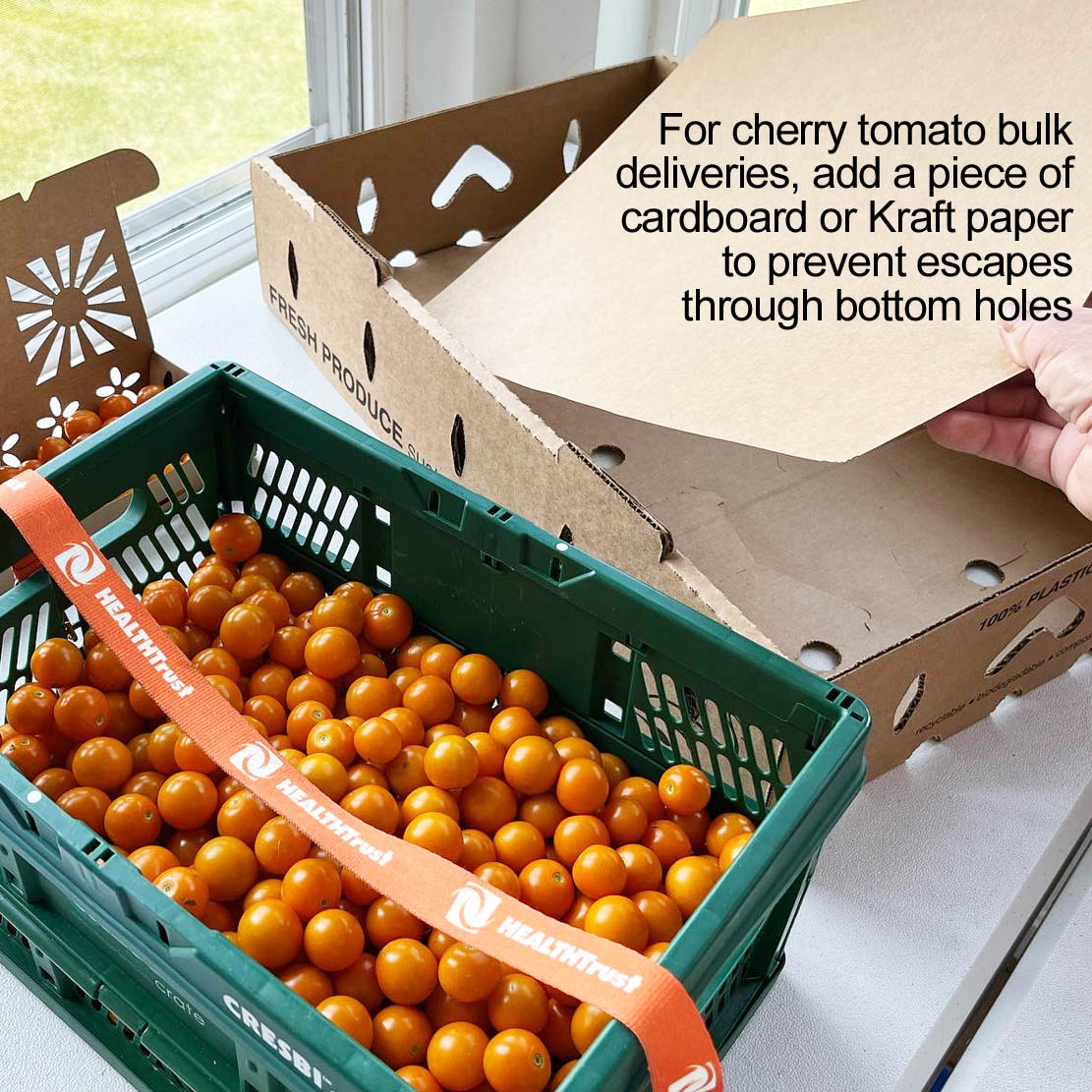 1 Quart Kraft Paper Sustainable Produce Containers