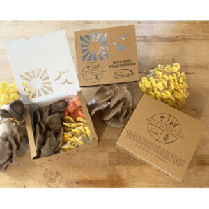 Custom branding of gourmet mushroom boxes.