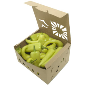 3 Quart KRAFT Paper Sustainable Produce Container (235/case)